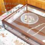 画像4: ダークブラウン木製5面ガラスディスプレイケース　コレクションケース　ジュエリーケース (4)