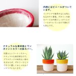画像5: ジュートの4号鉢カバー　ポタリー (5)