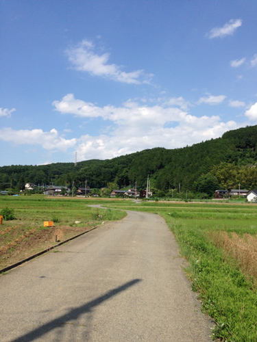 小川町歩き　田園