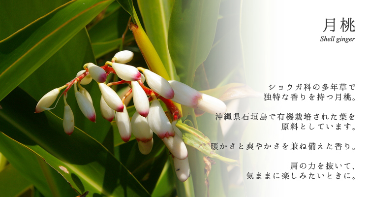 日本のフレグランスオイル 精油 月桃