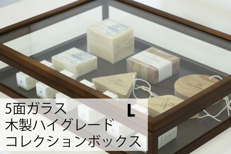 5面ガラス 木製ハイグレード コレクションケース ｌサイズ ブラウン